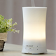 Oak Leaf Essential Oil Diffuser | $12 | Amazon | Use code Q8WMVZ3K